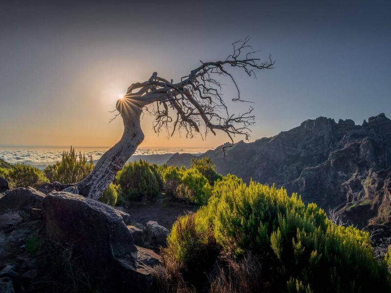 0J8A3515-HDR-Edytuj-min