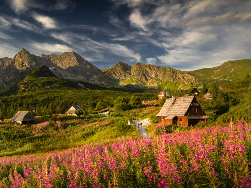 Hala Gąsienicowa latem